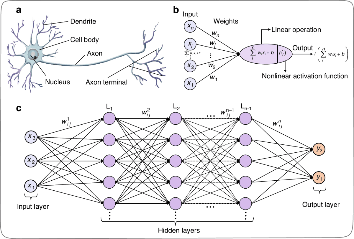 Neural Network From Scratch (in Python) - Full-stack web application screenshot